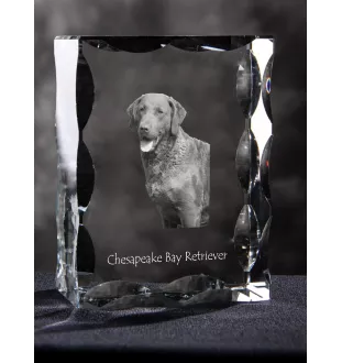 Retriever de la baie de Chesapeake - cristal avec photo de chien, statuette en verre avec photo, cadre exceptionnel avec photo de la marque Art-Dog