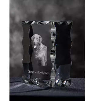 Chesapeake Bay Retriever, Chessie - crystal with a picture of a dog, glass statuette with a picture, unique frame with a picture from Art-Dog brand