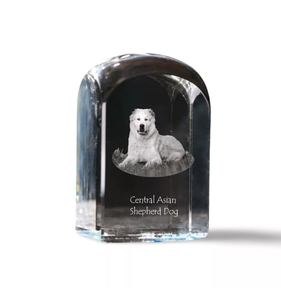 Mittelasiatischer Schäferhund, Zentralasiatischer Owtscharka - Kristallwürfel mit Bild, Hundebild im Kristall, sechseckiger Papierclip von Art-Dog.