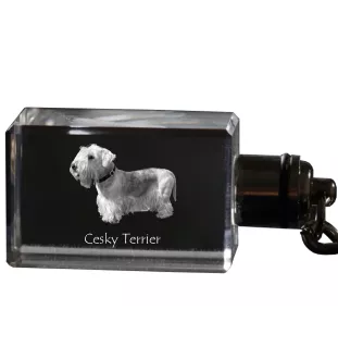 Terrier Tchèque, Cesky Terrier - Porte-clés en cristal avec photo de chien, porte-clés lumineux, cadeau unique de la marque Art-Dog