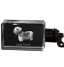 Terrier Tchèque, Cesky Terrier - Porte-clés en cristal avec photo de chien, porte-clés lumineux, cadeau unique de la marque Art-Dog