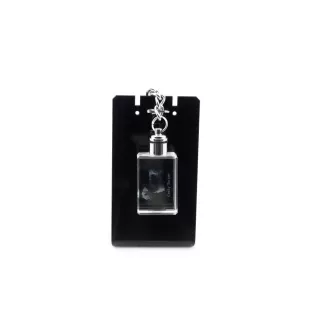 Terrier Tchèque, Cesky Terrier - Porte-clés en cristal avec photo de chien, porte-clés lumineux, cadeau unique de la marque Art-Dog