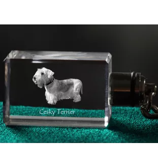Tschechischer Terrier,   Böhmischer Terrier, Český Teriér - Schlüsselanhänger aus Kristall mit Hundefoto, beleuchteter Schlüsselanhänger, einzigartiges Geschenk der Marke Art-Dog