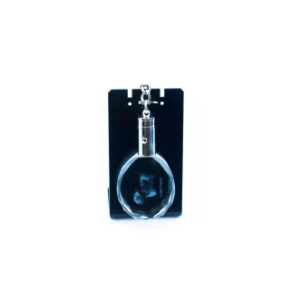 Terrier Tchèque, Cesky Terrier - pendentif avec une photo de chien, porte-clés en cristal dans une boîte cadeau, un cadeau unique par Art-Dog