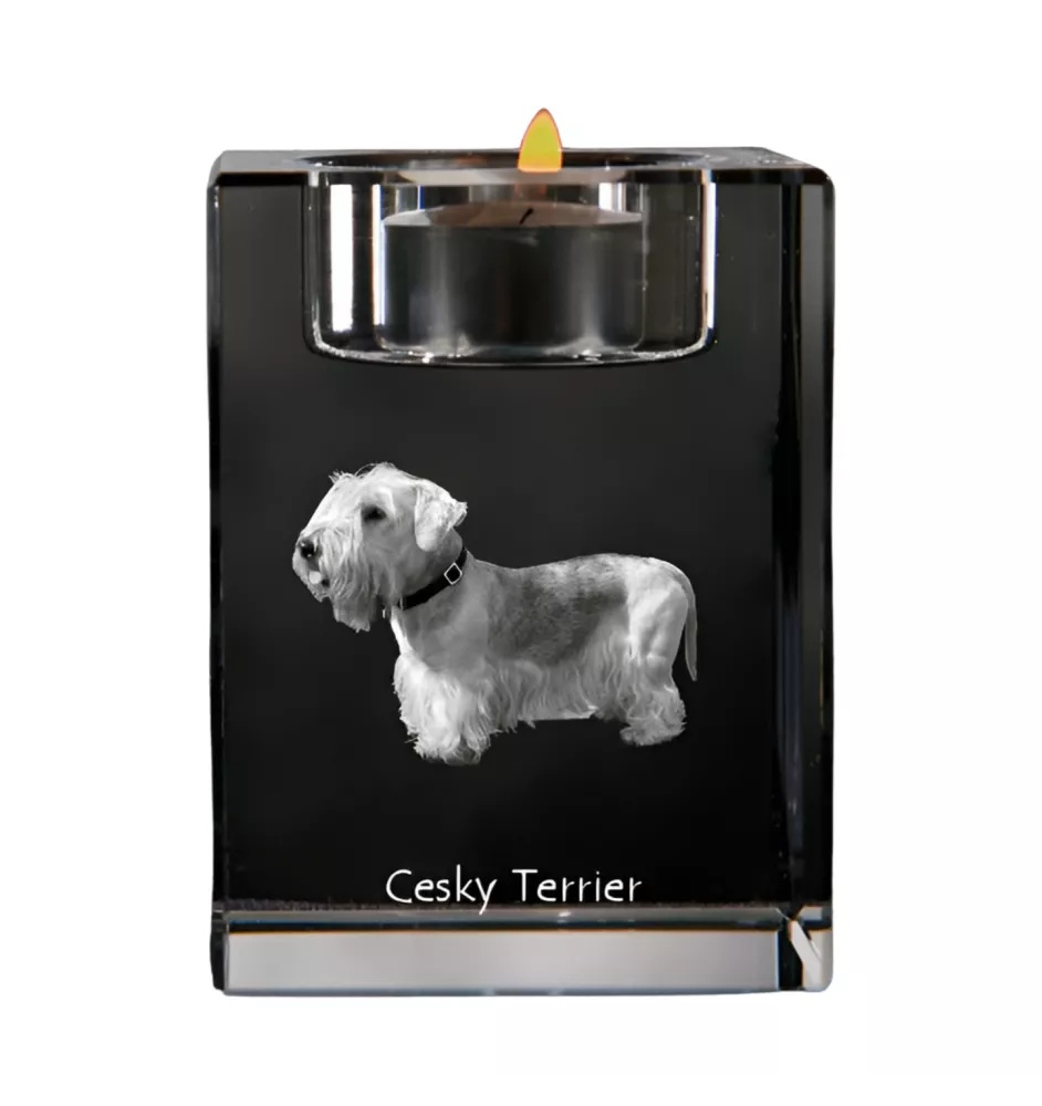 Tschechischer Terrier,   Böhmischer Terrier, Český Teriér - Kerzenhalter mit Hundefoto, Teelichthalter aus Kristall, personalisiertes Geschenk der Marke Art-Dog