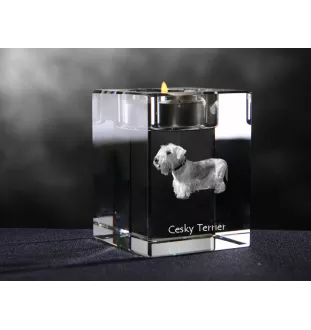 Tschechischer Terrier,   Böhmischer Terrier, Český Teriér - Kerzenhalter mit Hundefoto, Teelichthalter aus Kristall, personalisiertes Geschenk der Marke Art-Dog