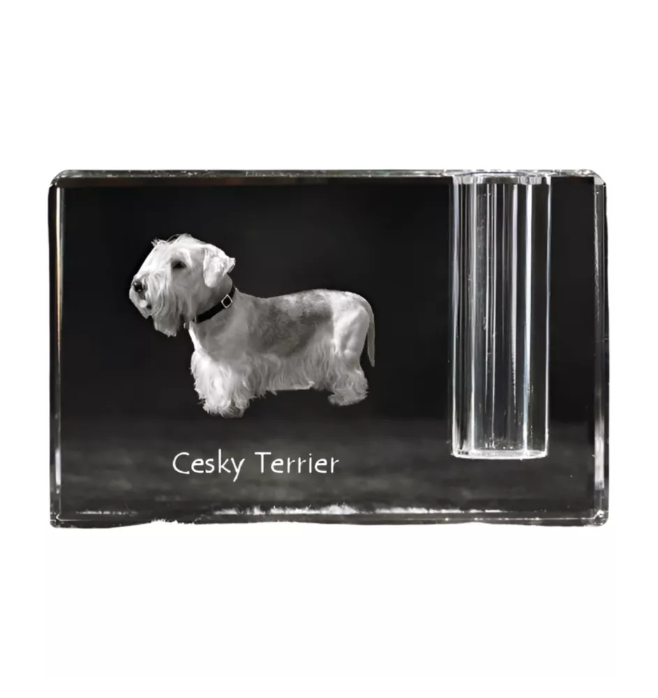 Terrier Tchèque, Cesky Terrier - Porte-stylos, organiseur en cristal avec photo de chien, décoration de bureau unique par la marque Art-Dog