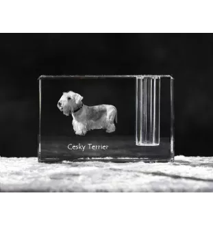 Terrier Tchèque, Cesky Terrier - Porte-stylos, organiseur en cristal avec photo de chien, décoration de bureau unique par la marque Art-Dog