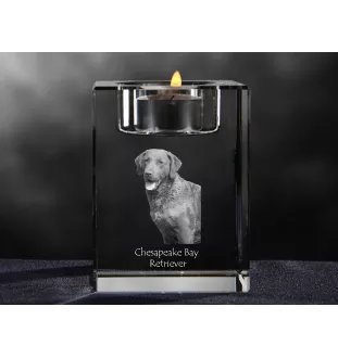 Retriever de la baie de Chesapeake - Bougeoir avec photo de chien, porte bougie en cristal, cadeau personnalisé par la marque Art-Dog
