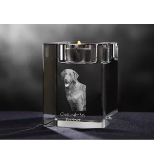 Chesapeake Bay Retriever świecznik kryształowy z psem Art-Dog