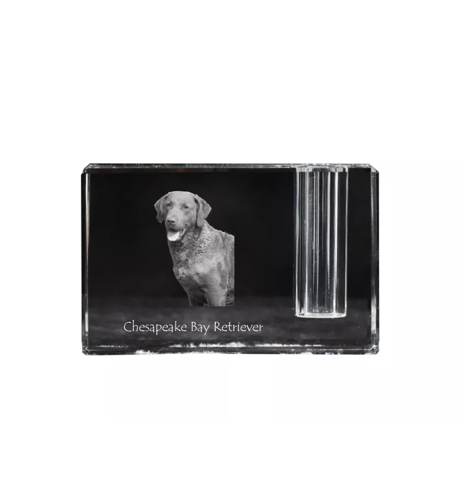 Retriever de la baie de Chesapeake - Porte-stylos, organiseur en cristal avec photo de chien, décoration de bureau unique par la marque Art-Dog
