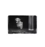Chesapeake Bay Retriever, Chessie - Pen stand, crystal organiser with dog photo, unique desk decoration by Art-Dog brand