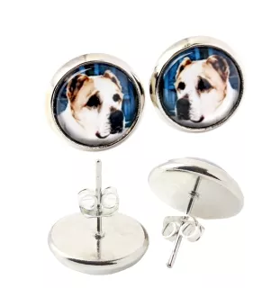 Central Asia Shepherd Dog, Central Asian Shepherd Dog - earrings in a box, your photo, handmade jewelry, a product of the Art-Dog brand