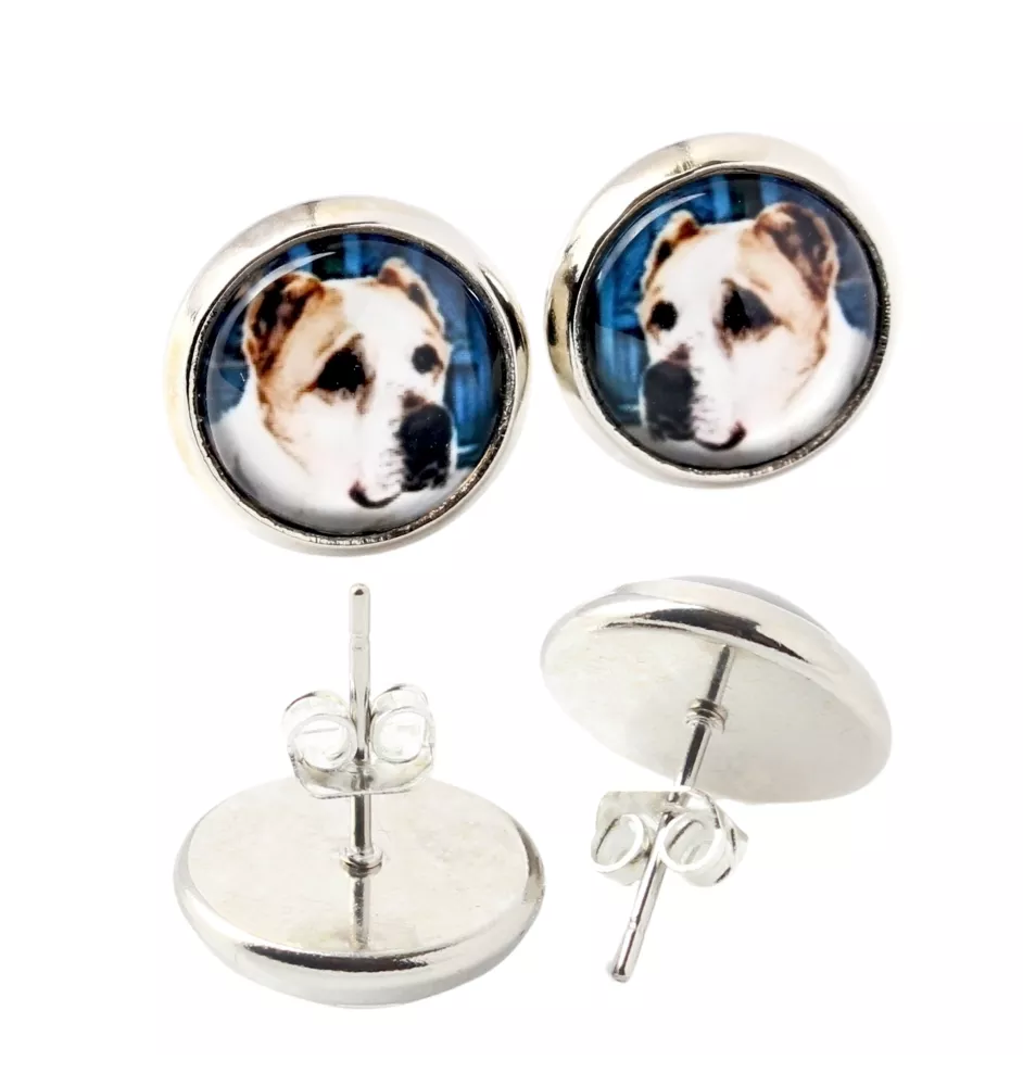 Central Asia Shepherd Dog, Central Asian Shepherd Dog - earrings in a box, your photo, handmade jewelry, a product of the Art-Dog brand