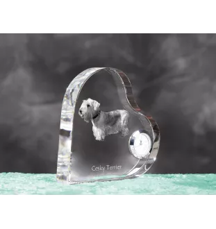 Terrier Tchèque, Cesky Terrier - horloge en cristal avec une photo de chien, horloge de table en forme de cœur, horloge debout personnalisée de la marque Art-Dog