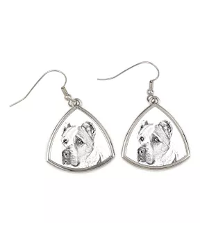 Central Asian Shepherd Dog - dog earrings, hanging earrings with a picture, personalized jewelry with Art-Dog brand print