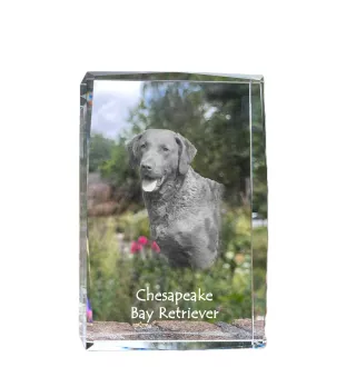 Chesapeake Bay Retriever, Chessie - crystal with a picture of a dog, photo in glass, modern exhibition of Art-Dog brand photo