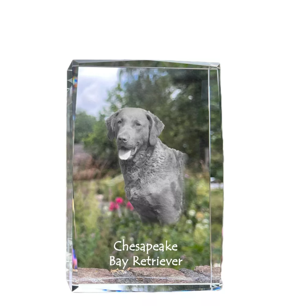 Chesapeake Bay Retriever kryształ z psem Art-Dog