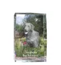 Retriever de la baie de Chesapeake - cristal avec une photo de chien, photo sous verre, exposition moderne de la marque de photos Art-Dog
