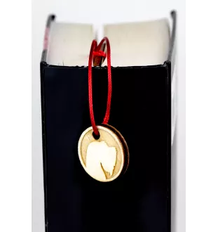 Tschechischer Terrier,   Böhmischer Terrier, Český Teriér - Lesezeichen mit Hund, personalisiertes Lesezeichen, Hundeaccessoire für Leser der Marke Art-Dog