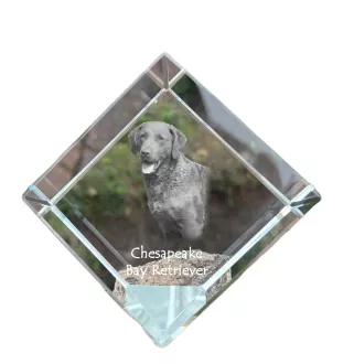 Chesapeake Bay Retriever, Chessie - crystal cube with a photo, photo of a horse in crystal, cubic paperweight from Art-Dog brand