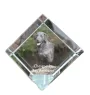 Chesapeake Bay Retriever - Kristallwürfel mit Bild, Pferdebild im Kristall, sechseckiger Papierclip der Marke Art-Dog