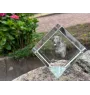 Chesapeake Bay Retriever, Chessie - crystal cube with a photo, photo of a horse in crystal, cubic paperweight from Art-Dog brand