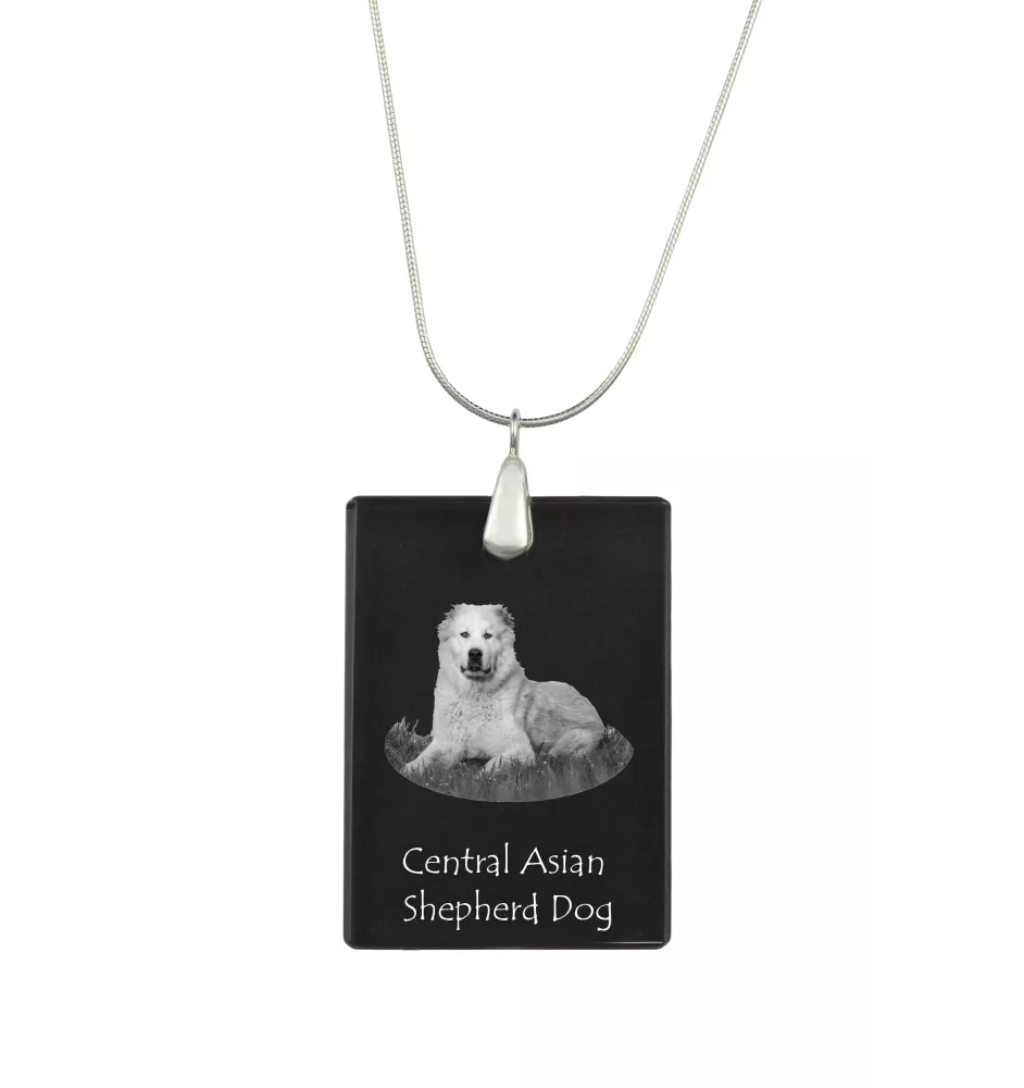 Berger d'Asie Centrale, Sredneasiatskaïa ovtcharka - Pendentif en cristal avec chien, collier en argent avec photo, pendentif personnalisé par la marque Art-Dog