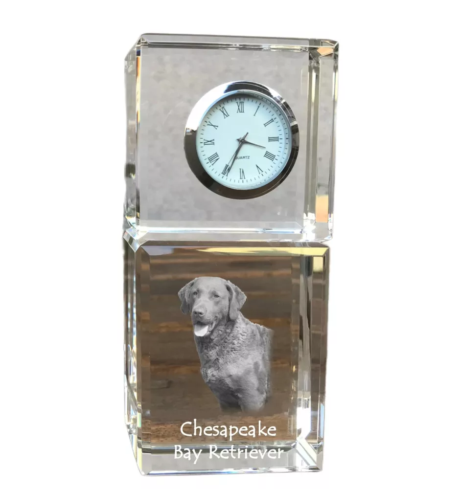 Retriever de la baie de Chesapeake - montre en cristal avec photo, photo de chien dans un cristal, horloge de bureau personnalisée de la marque Art-Dog