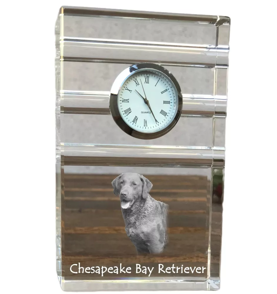 Retriever de la baie de Chesapeake - une horloge en verre avec une photo, une photo de chien dans un cristal, une horloge de bureau personnalisée de la marque Art-Dog