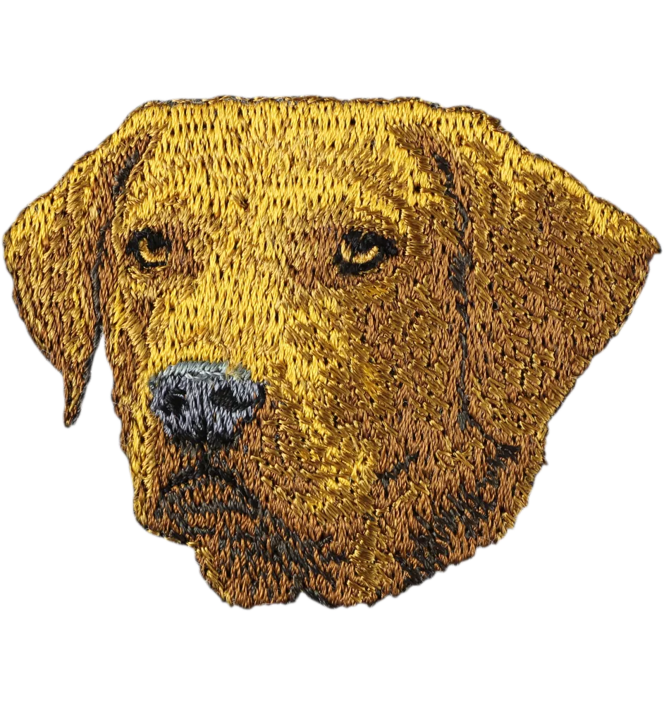 Chesapeake Bay Retriever, Chessie - dog-shaped patch, embroidered patch, unique decoration for Art-Dog backpack