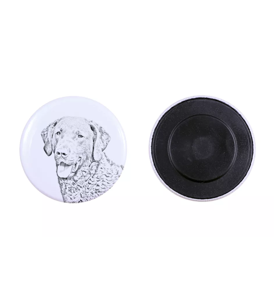 Retriever de la baie de Chesapeake - aimant avec un œil de chien, exceptionnellement léger, aimant puissant, produit fabriqué à la main par la marque Art-Dog