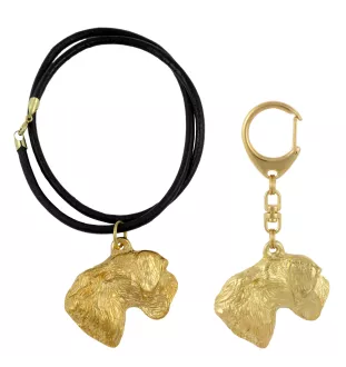 Terrier Tchèque, Cesky Terrier - porte-clés et collier avec chien dans une boîte, produit plaqué or de haute qualité, marque Art-Dog