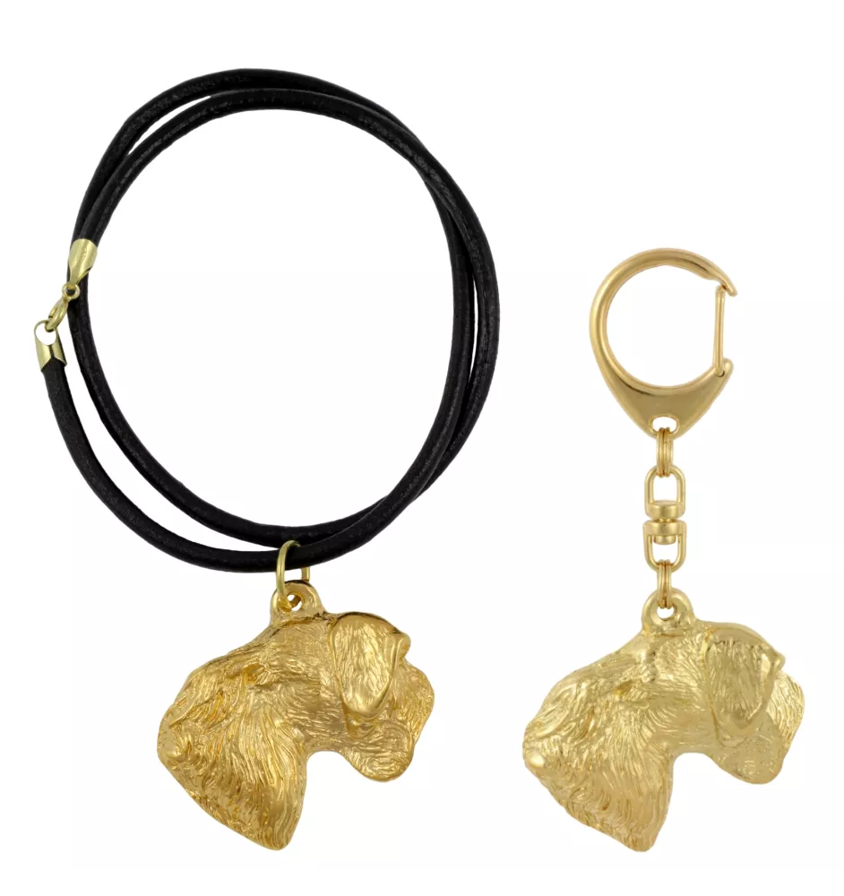 Terrier Tchèque, Cesky Terrier - porte-clés et collier avec chien dans une boîte, produit plaqué or de haute qualité, marque Art-Dog