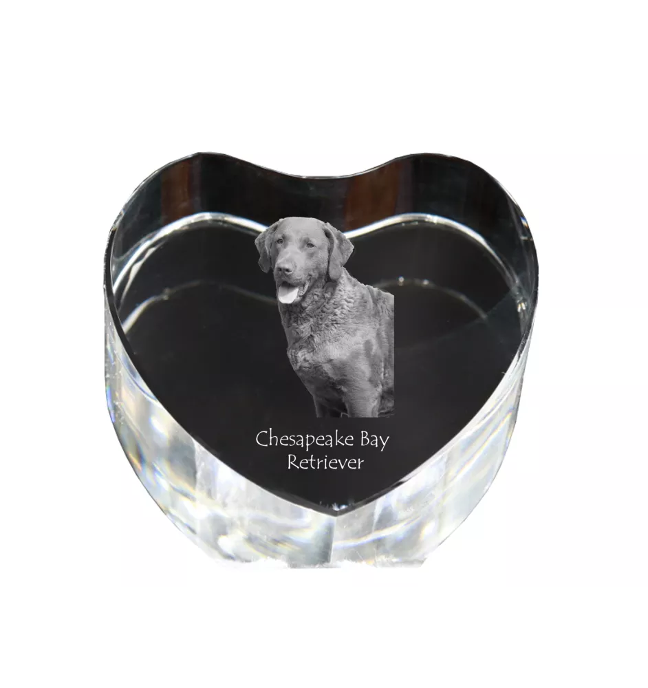 Retriever de la baie de Chesapeake - une photo de chien dans un cristal, un cœur en cristal, un cadre photo exceptionnel de la marque Art-Dog