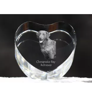 Chesapeake Bay Retriever, Chessie - a photo of a dog in crystal, crystal heart, unique photo frame from the Art-Dog brand