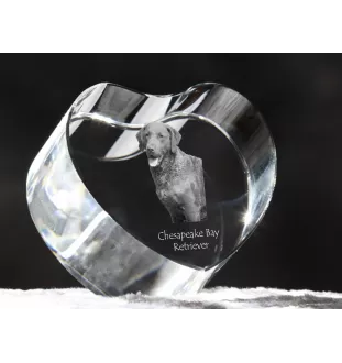 Chesapeake Bay Retriever, Chessie - a photo of a dog in crystal, crystal heart, unique photo frame from the Art-Dog brand