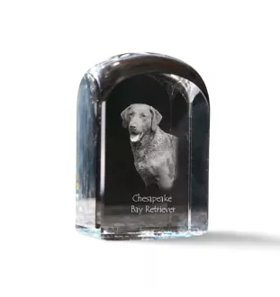 Chesapeake Bay Retriever, Chessie - crystal cube with a photo, photo of a dog in crystal, cubic paperweight from Art-Dog brand