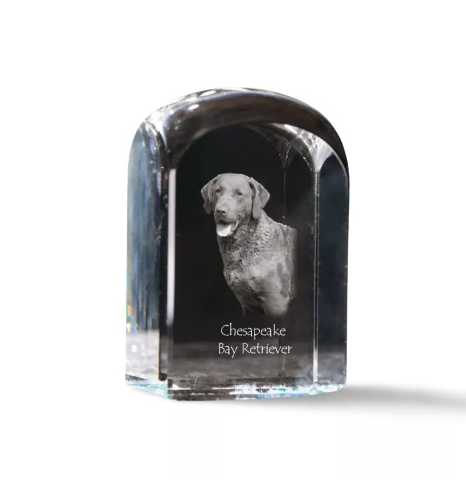 Chesapeake Bay Retriever - Kristallwürfel mit Bild, Hundebild im Kristall, sechseckiger Papierclip von Art-Dog.