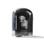 Chesapeake Bay Retriever, Chessie - crystal cube with a photo, photo of a dog in crystal, cubic paperweight from Art-Dog brand