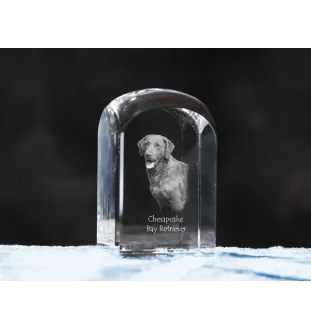 Retriever de la baie de Chesapeake - un cube de cristal avec une photo, une photo de chien dans le cristal, un presse-papiers cubique de la marque Art-Dog
