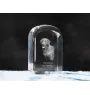 Chesapeake Bay Retriever, Chessie - crystal cube with a photo, photo of a dog in crystal, cubic paperweight from Art-Dog brand