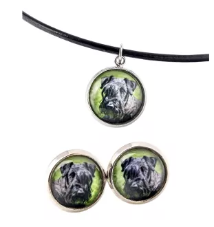 Tschechischer Terrier,   Böhmischer Terrier, Český Teriér - Schmuck mit Ihrem Foto-Box, Halskette und Ohrringe-Set, personalisierte Produkte der Marke Art-Dog.