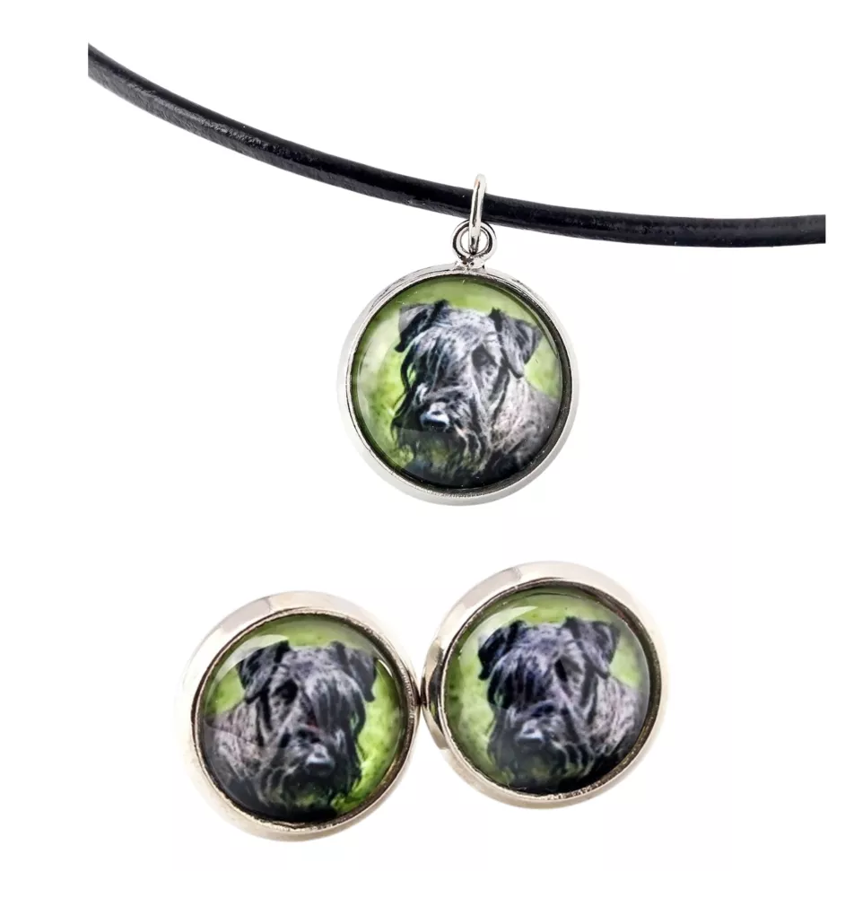 Cesky Terrier, Czech Terrier, Bohemian Terrier - jewelry with your photo box, set of necklace and earrings, personalized products from the Art-Dog brand