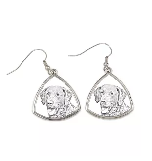 Retriever de la baie de Chesapeake - boucles d'oreilles avec chien, boucles d'oreilles pendantes avec photo, bijoux personnalisés avec impression de la marque Art-Dog