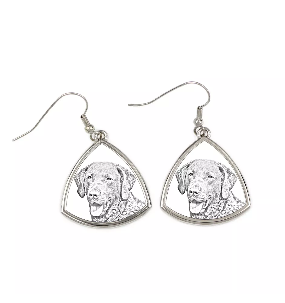 Retriever de la baie de Chesapeake - boucles d'oreilles avec chien, boucles d'oreilles pendantes avec photo, bijoux personnalisés avec impression de la marque Art-Dog