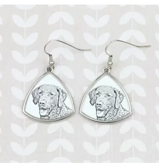 Chesapeake Bay Retriever, Chessie - dog earrings, hanging earrings with a picture, personalized jewelry with Art-Dog brand print