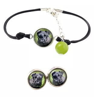 Tschechischer Terrier,   Böhmischer Terrier, Český Teriér - Schmuckset mit Ihrem Foto, Schmuckstück für Frauen, handgefertigtes Produkt, handgefertigtes Produkt mit Leidenschaft für die Marke Art-Dog.