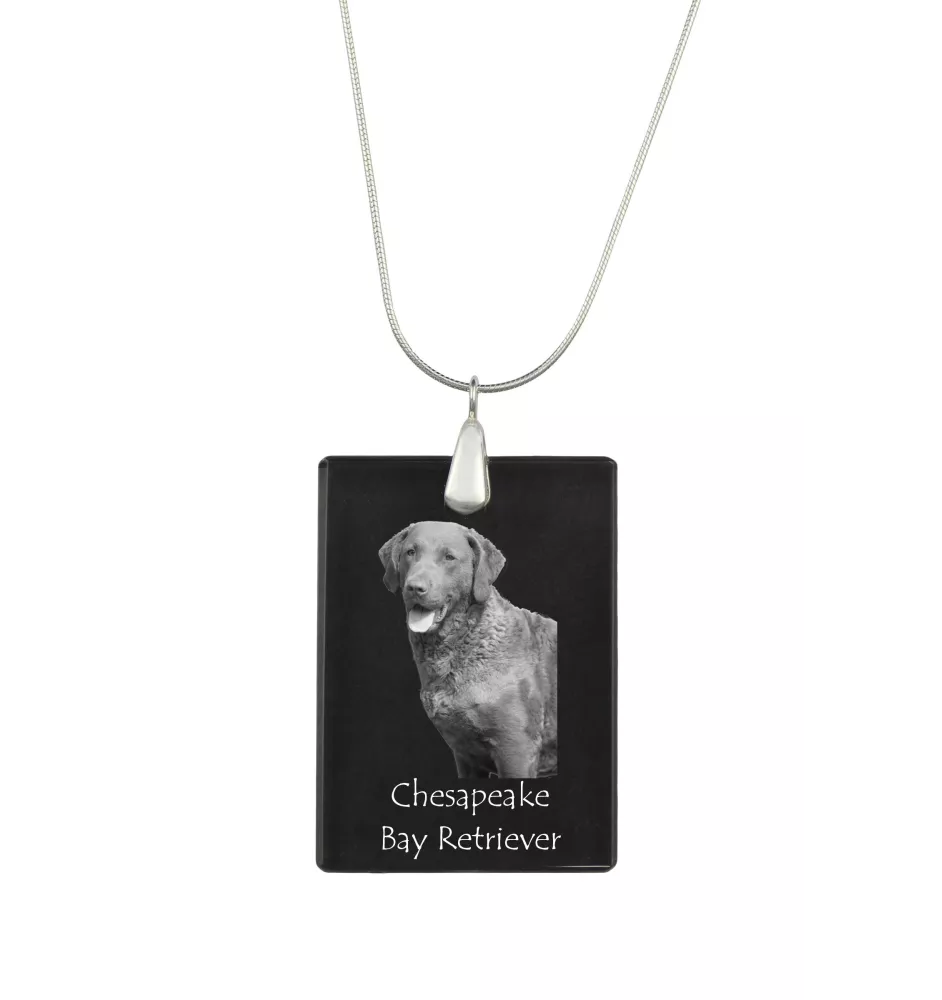 Chesapeake Bay Retriever, Chessie - Crystal pendant with dog, silver necklace with photo, personalised pendant by Art-Dog brand