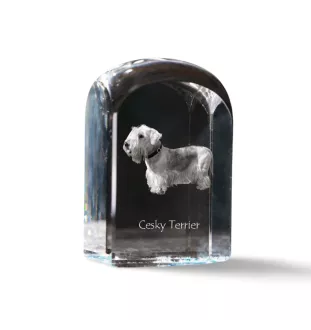 Terrier Tchèque, Cesky Terrier - un cube de cristal avec une photo, une photo de chien dans le cristal, un presse-papiers cubique de la marque Art-Dog